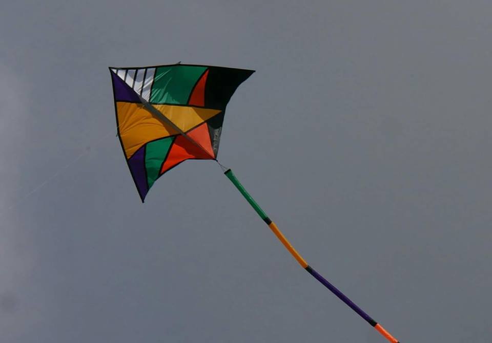 Kite lost at Streatham kite day May 14th 2017